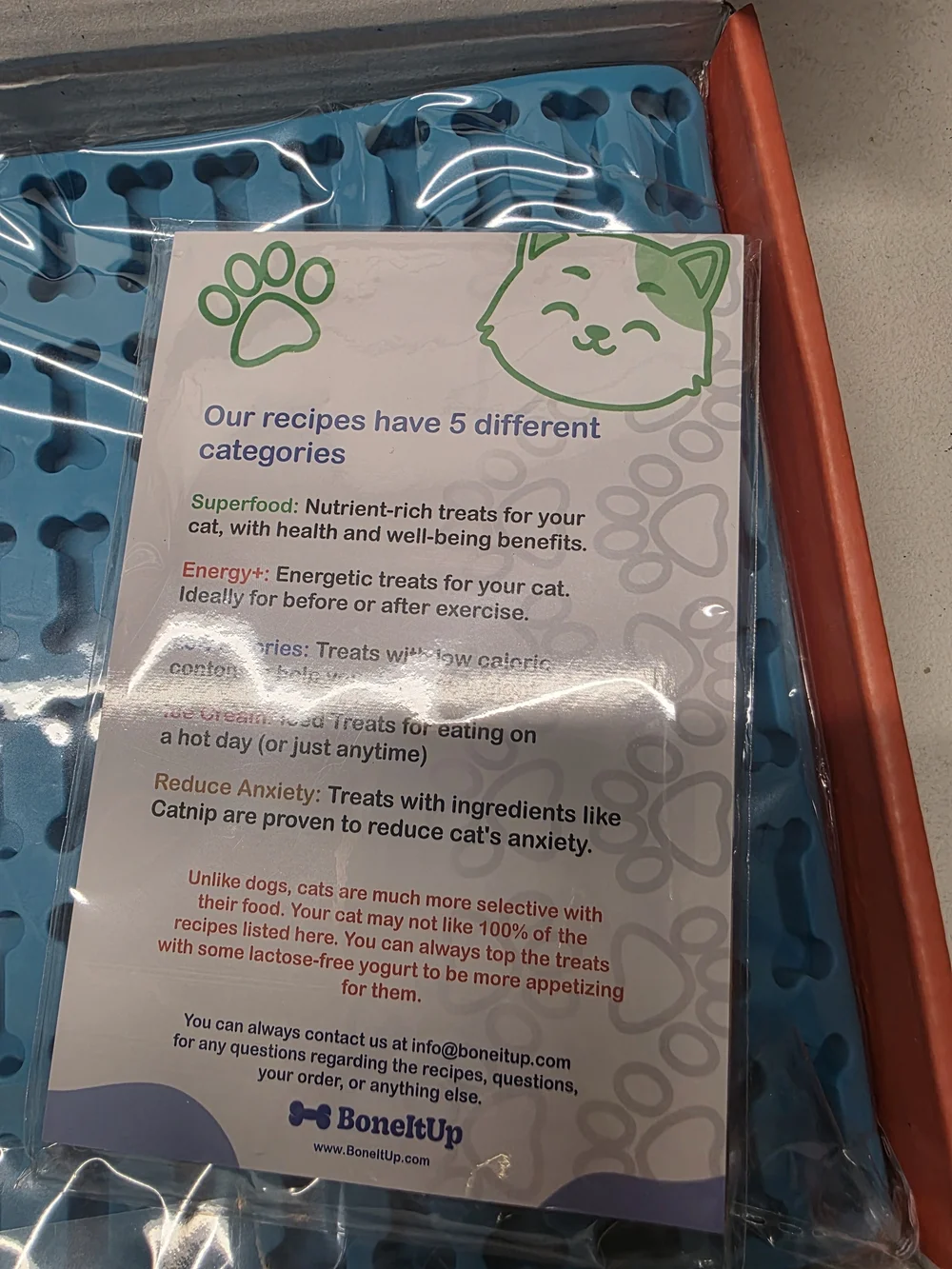 Cat Edition Treat Box in Orange & Blue